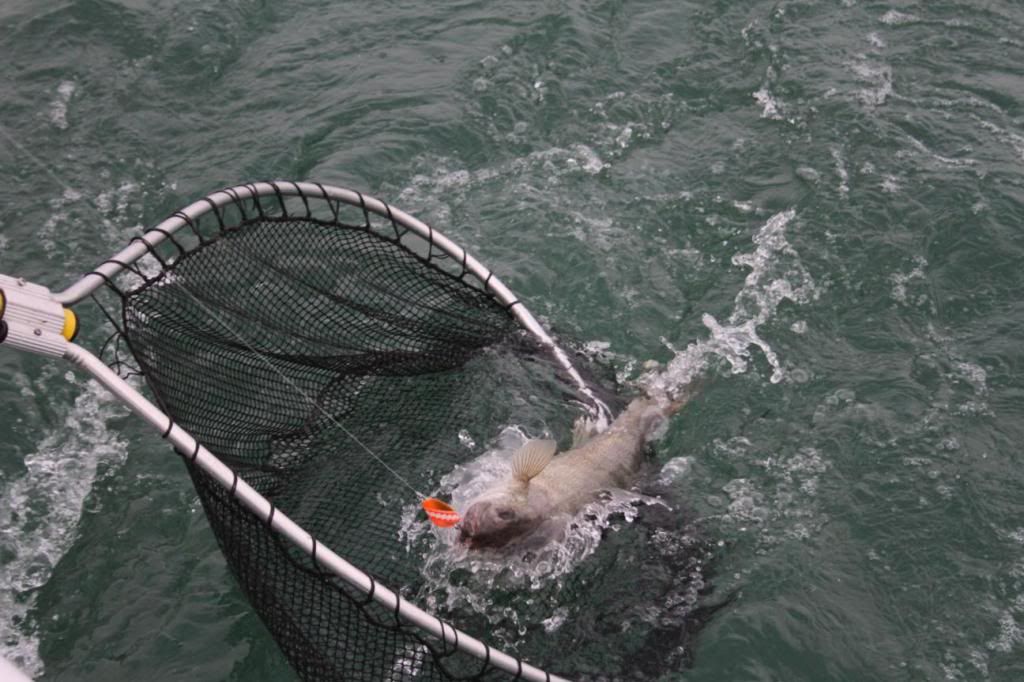 Crooked Hook Charters